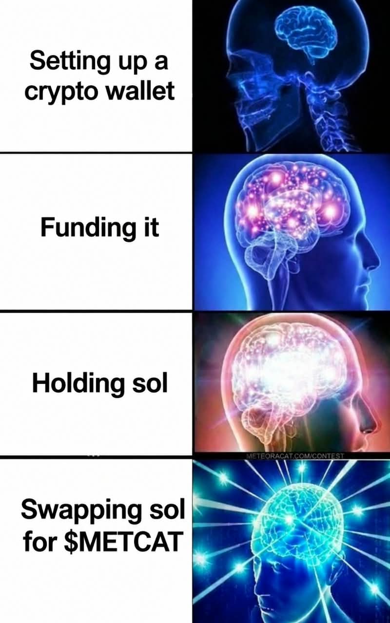 The wise choose metcat METCAT meme