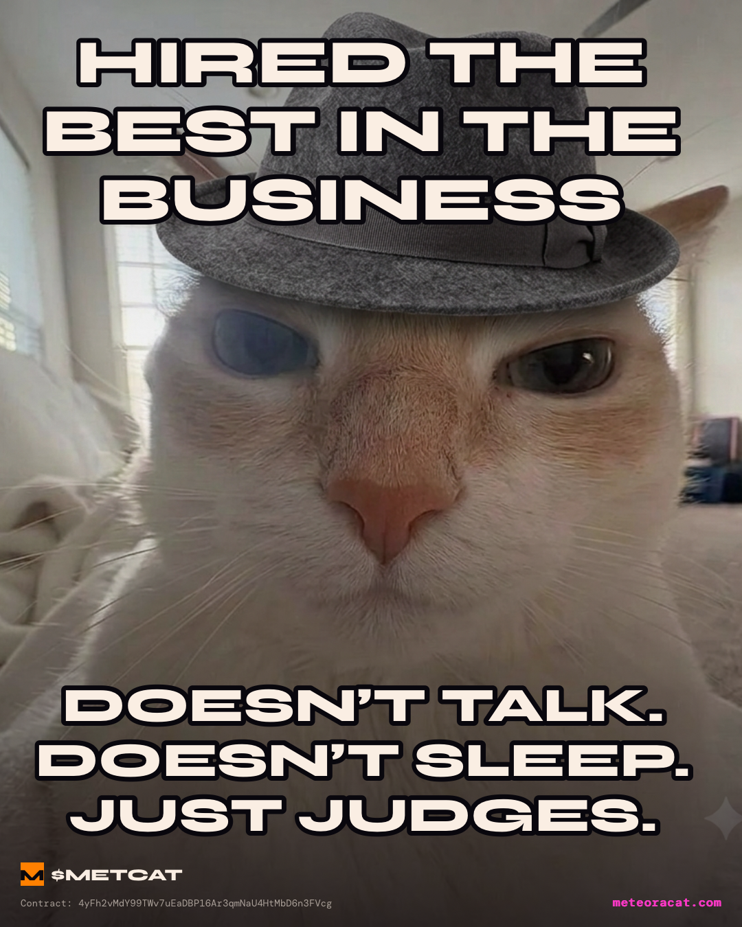 Atleast METCAT meme