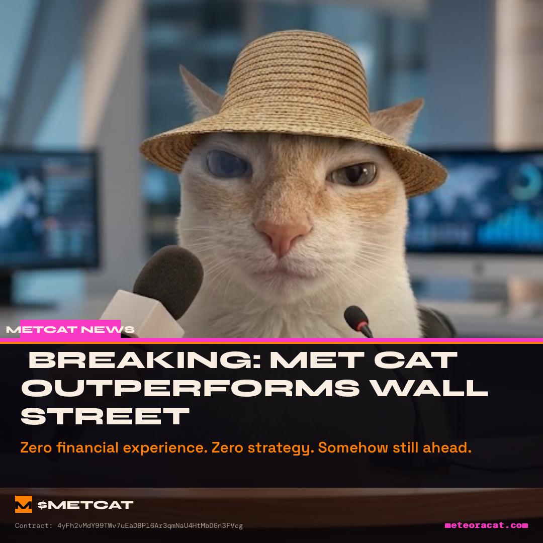 AWWAL METCAT meme