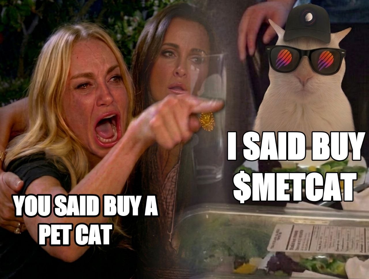 RYCH METCAT meme