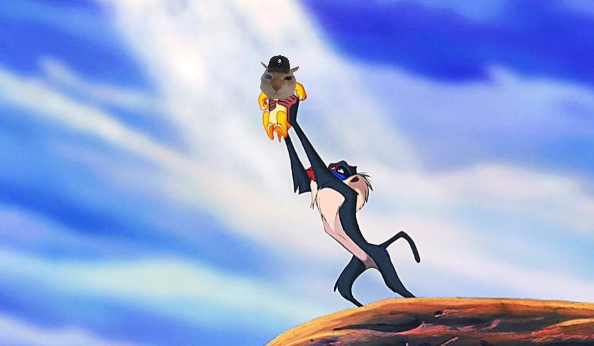 Majestic METCAT meme