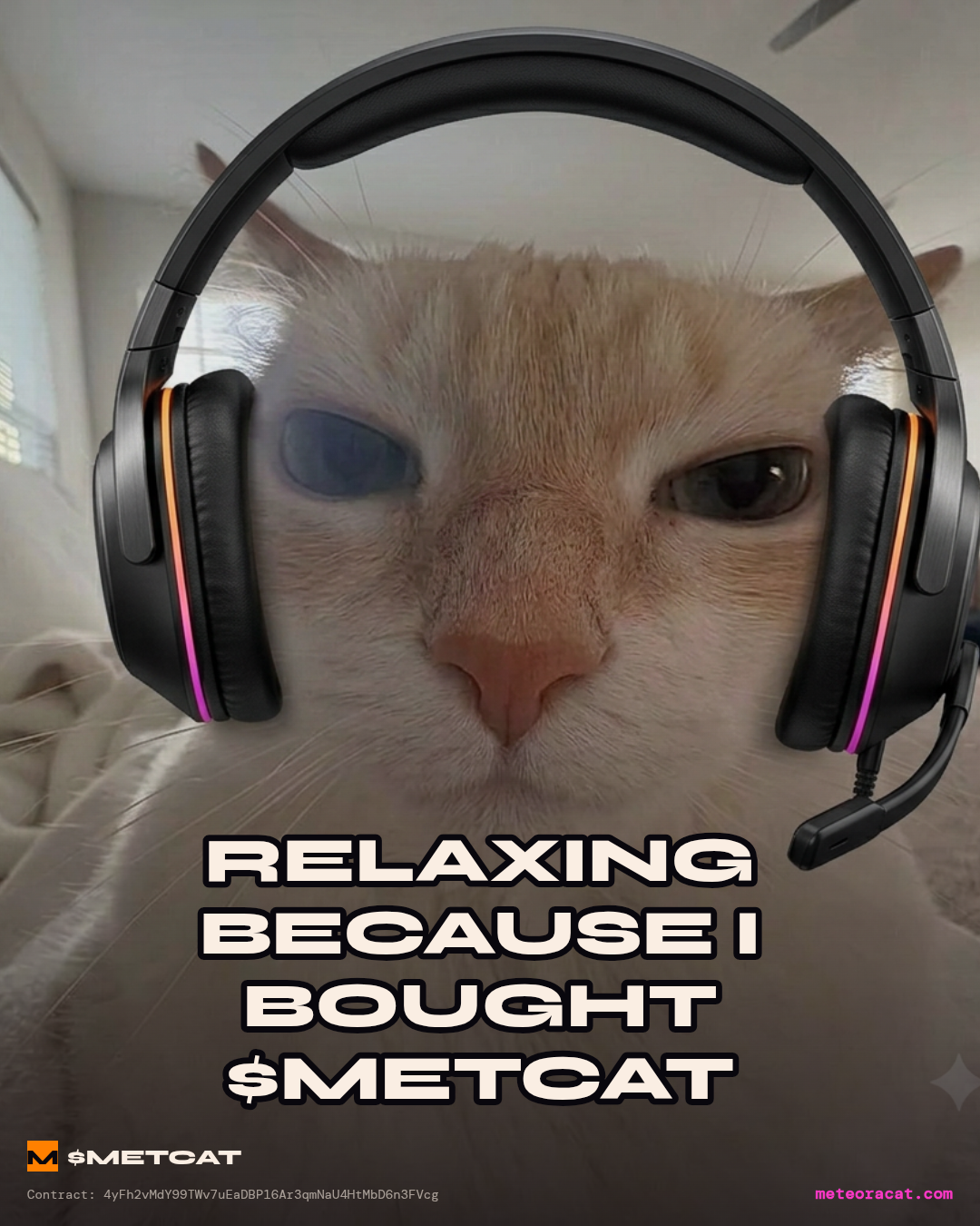 Metcat king of meme METCAT meme
