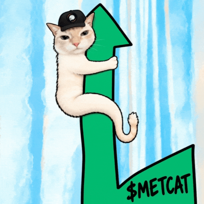 JNR METCAT meme