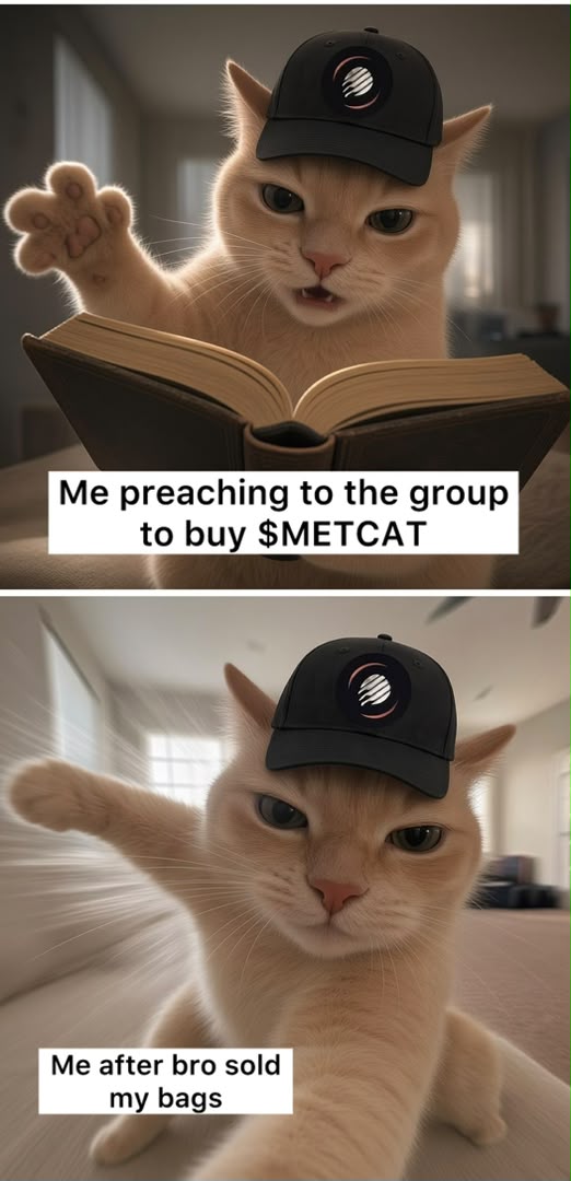 Dee METCAT meme